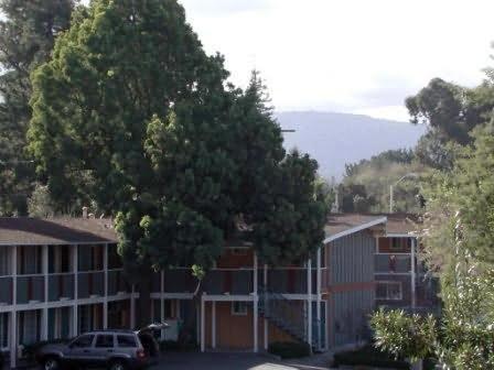 Oak Motel Palo Alto Exterior photo